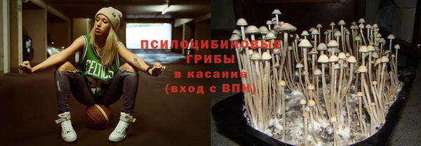 герыч Алзамай