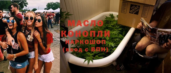 молекула духа Няндома