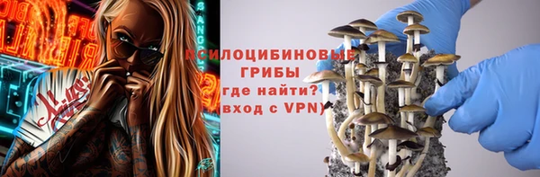 герыч Алзамай
