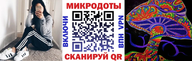 где найти   Куйбышев  Псилоцибиновые грибы GOLDEN TEACHER 