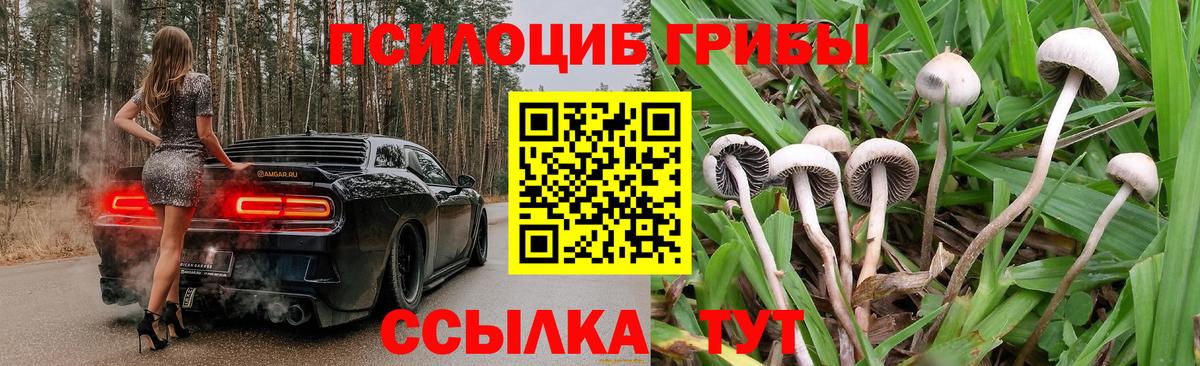 Псилоцибиновые грибы прущие грибы  Вход с VPN  Галлюциногенные грибы MAGIC MUSHROOMS  Куйбышев 