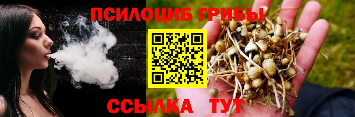 Псилоцибиновые грибы Psilocybine cubensis Куйбышев